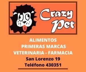Crazy Pet