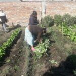 HUERTAS FAMILIARES: CAPACITARÁN A PEQUEÑOS PRODUCTORES