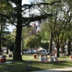 FESTIVAL, TALLER DE FOLCLORE Y MUSICA PARA NIÑOS EN PLAZA COLÓN