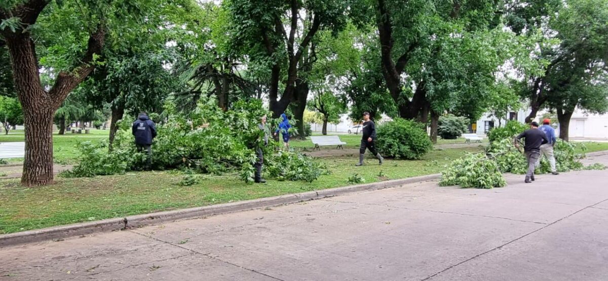 TORMENTA: EQUIPOS MUNICIPALES TRABAJARON PARA DEJAR LA CIUDAD LIMPIA Y ORDENADA