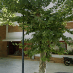 EL SECRETARIO DE SEGURIDAD REPUDIÓ EL EPISODIO OCURRIDO FRENTE A UNA CASA VELATORIA