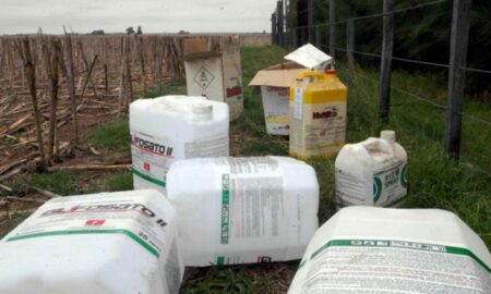 ENTRE FEBRERO Y MARZO RECOLECTARÁN ENVASES VACIOS DE FITOSANITARIOS