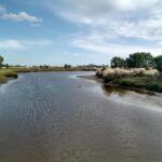 BAJO RIESGO DE PRESENCIA DE CIANOBACTERIAS EN AGUAS DEL PARQUE MARTIJA