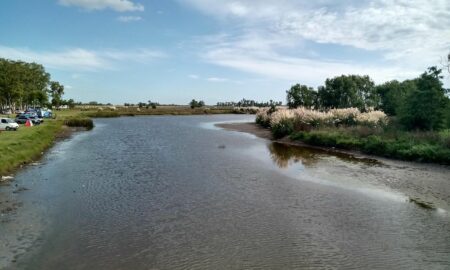 BAJO RIESGO DE PRESENCIA DE CIANOBACTERIAS EN AGUAS DEL PARQUE MARTIJA