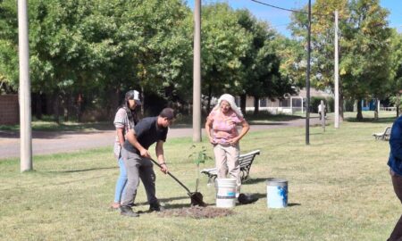 GOROSTIAGA: PLANTARON CEIBOS COMO PARTE DE UNA INICIATIVA AMBIENTAL
