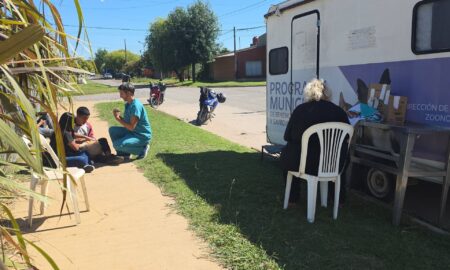 CASTRACIÓN Y ESTERILIZACIÓN DE MASCOTAS: REALIZARON 60 INTERVENCIONES EN EL CIC SUR