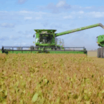 POR CADA HECTÁREA DE CAMPO DE CHIVILCOY QUE COSECHA SOJA, EL GOBIERNO DE MILEI SE QUEDA CON 84.000 PESOS Y EL MUNICIPIO SOLO 1.400