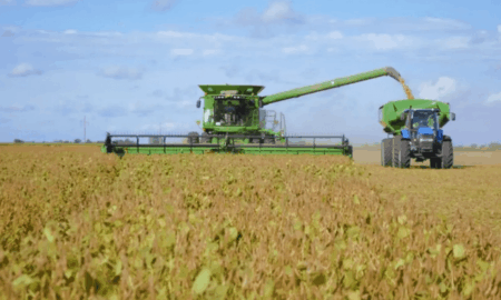 POR CADA HECTÁREA DE CAMPO DE CHIVILCOY QUE COSECHA SOJA, EL GOBIERNO DE MILEI SE QUEDA CON 84.000 PESOS Y EL MUNICIPIO SOLO 1.400