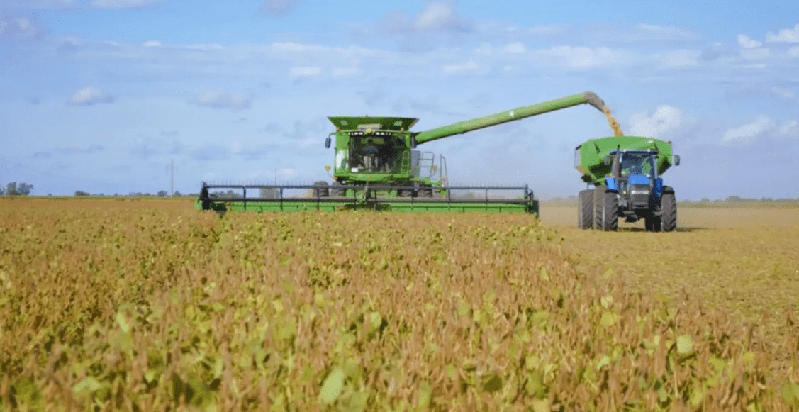 POR CADA HECTÁREA DE CAMPO DE CHIVILCOY QUE COSECHA SOJA, EL GOBIERNO DE MILEI SE QUEDA CON 84.000 PESOS Y EL MUNICIPIO SOLO 1.400
