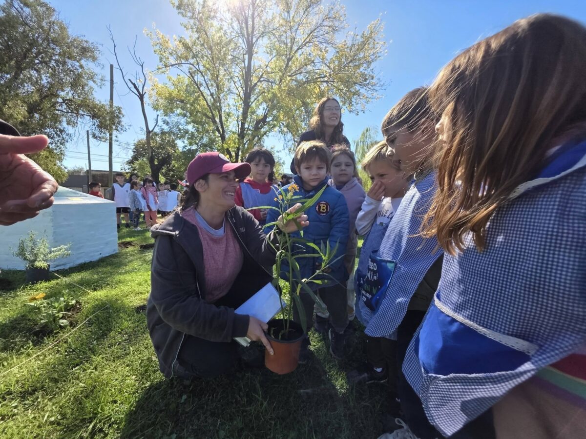 INICIATIVA AMBIENTAL PARA RECUPERAR ESPECIES NATIVAS