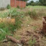 TERRENOS ABANDONADOS: SI EL PROPIETARIO NO SE OCUPA INTERVENDRÁ EL MUNICIPIO