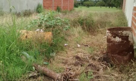 TERRENOS ABANDONADOS: SI EL PROPIETARIO NO SE OCUPA INTERVENDRÁ EL MUNICIPIO