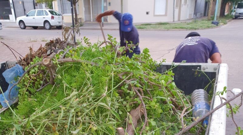PIDEN SACAR RAMAS O RESTOS DE PODA UN DÍA ANTES QUE PASE EL CAMIÓN RECOLECTOR
