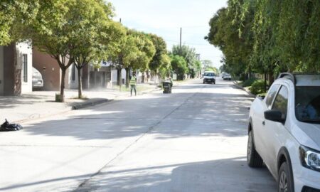 FORESTARÁN DIVERSOS SECTORES DE LA CIUDAD