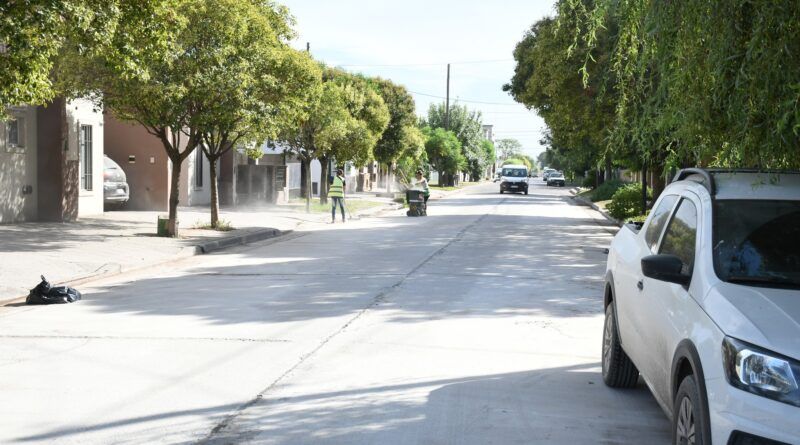 FORESTARÁN DIVERSOS SECTORES DE LA CIUDAD
