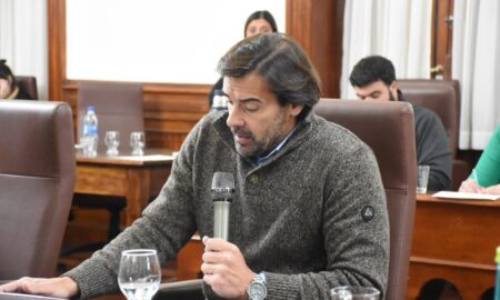 KÜBLER A ETCHEVERRÍA: "UN CONCEJAL NO GOBIERNA"