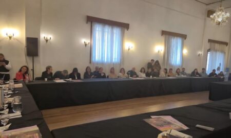 REUNIÓN PARA FORTALECER POLÍTICAS DE SALUD MENTAL EN LA REGIÓN